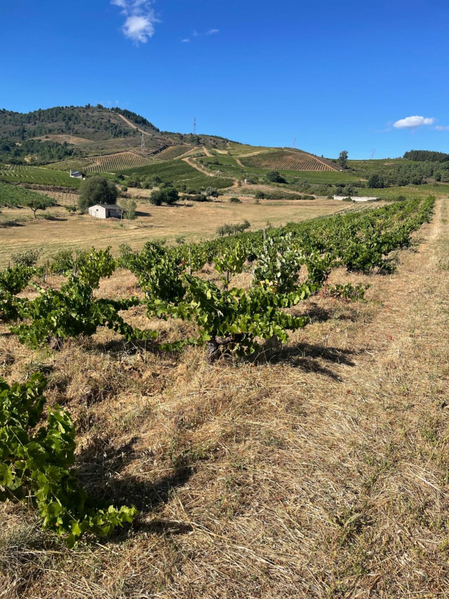 Boutique Finca Esencial Вильяфранка-дель-Бьерсо Экстерьер фото