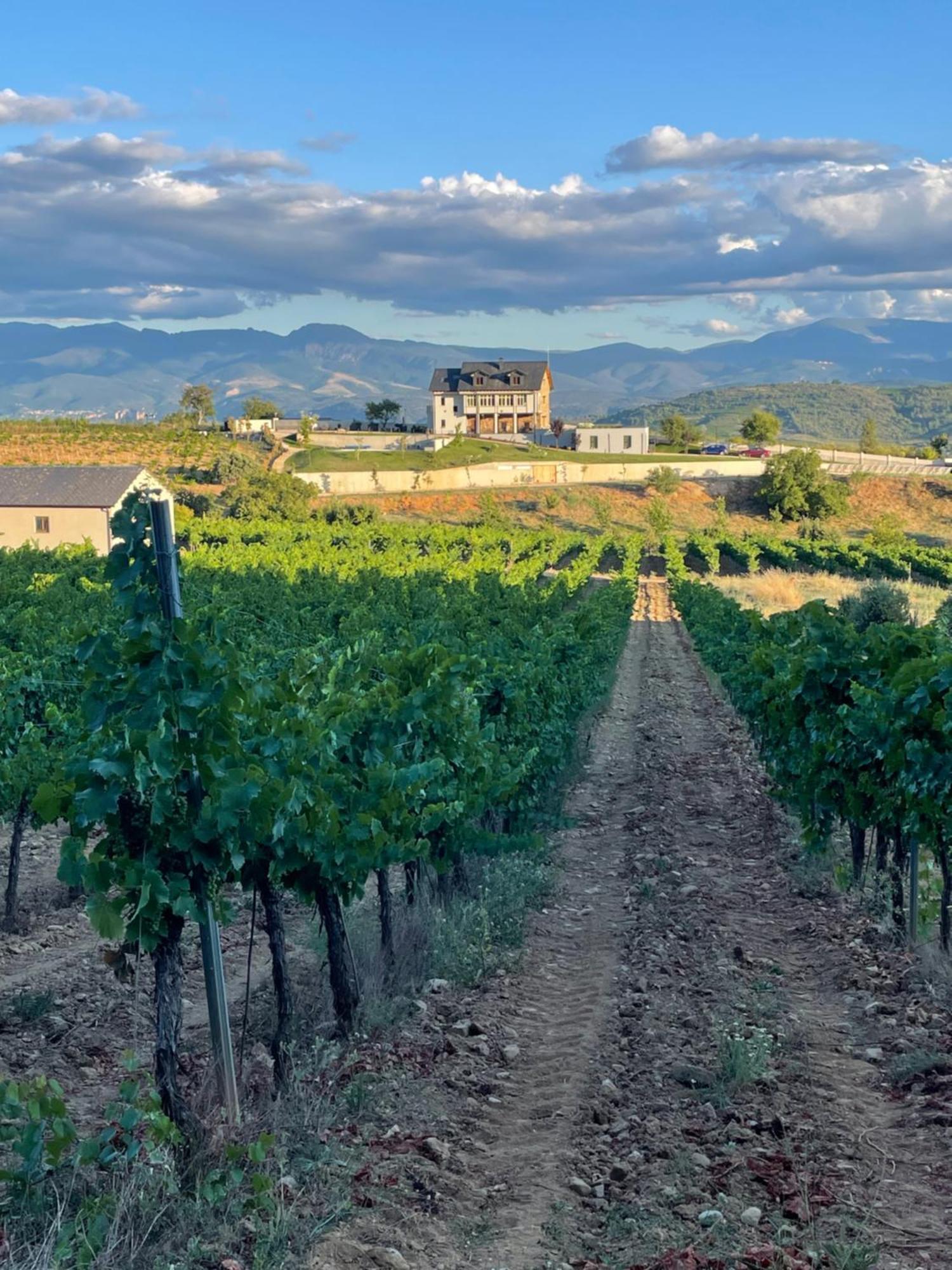 Boutique Finca Esencial Вильяфранка-дель-Бьерсо Экстерьер фото